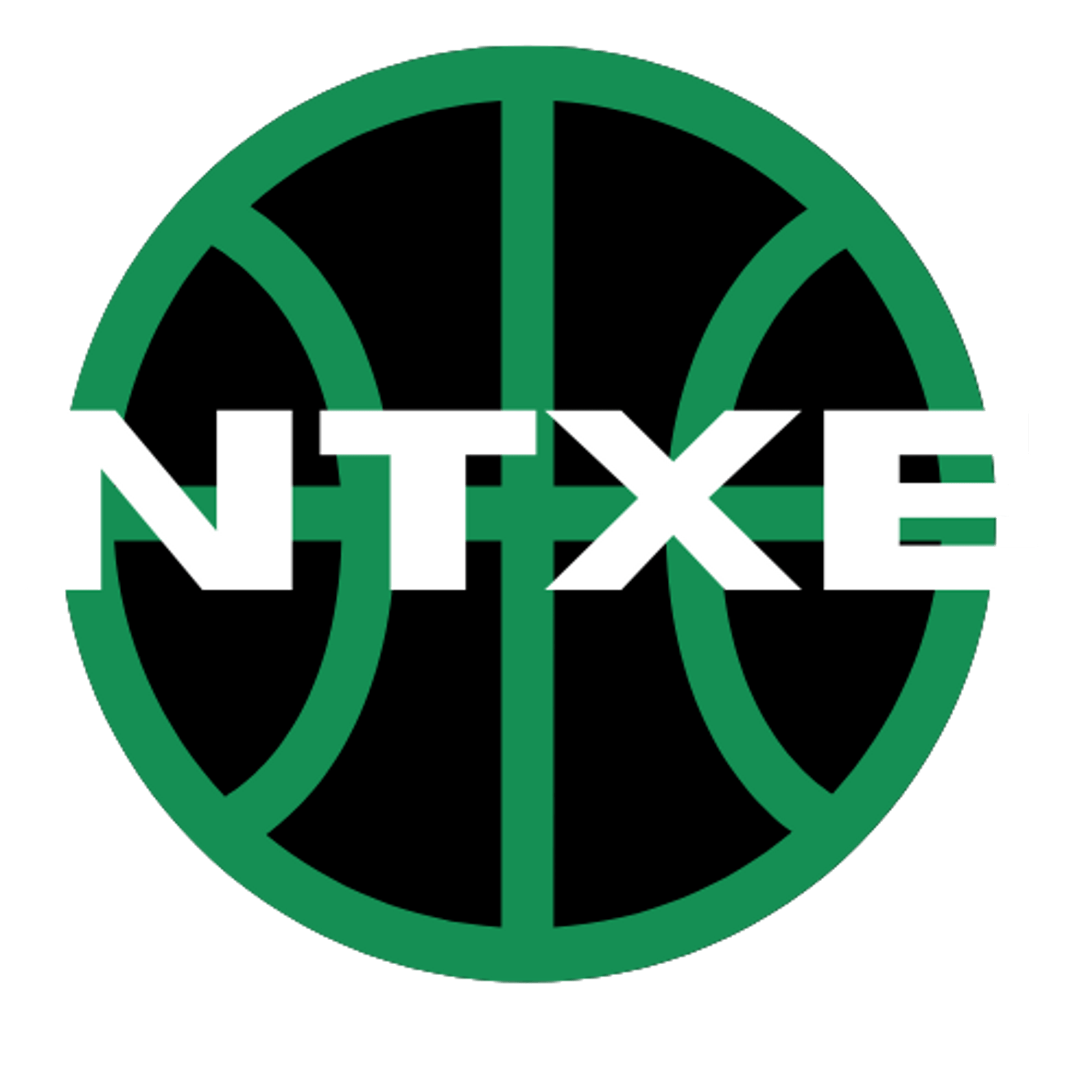 North Texas Evolution Basketball  | undefined Logo